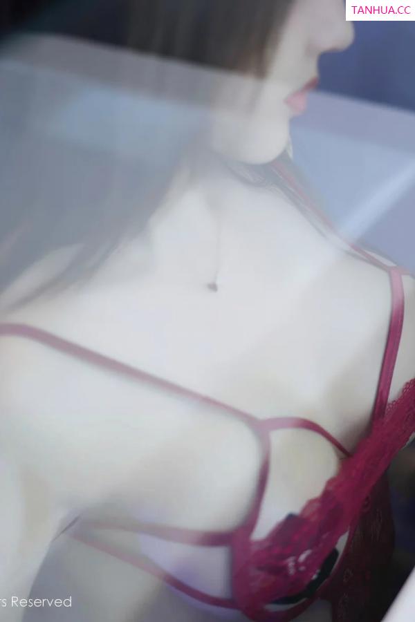  [XiuRen]高清写真图 2025.11.06 No.10956 Twins-夭夭 情趣内衣第41张图片